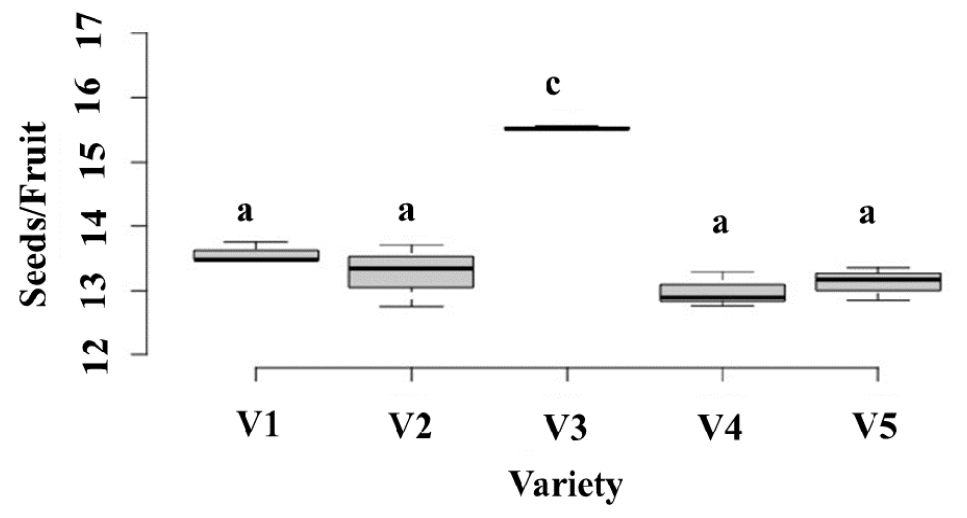 Figure 4: