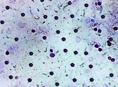 Figure 3: