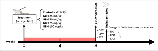 Figure 1: