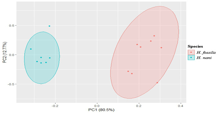 Figure 4: