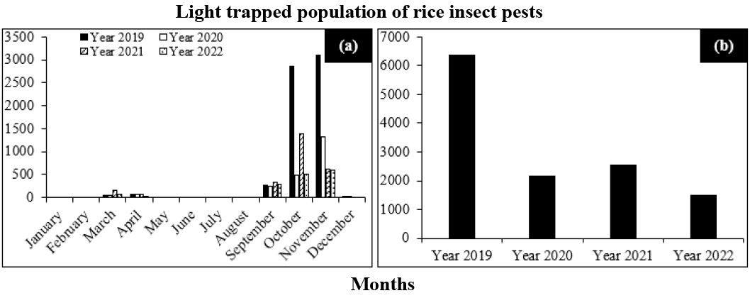 Figure 4: