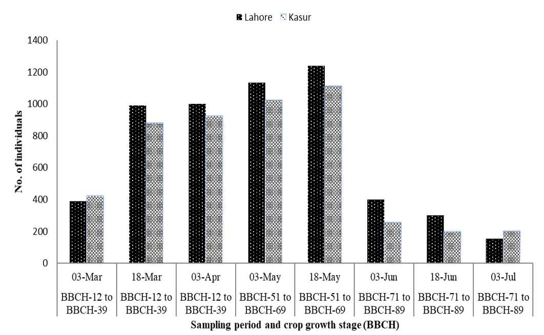 Figure 3: