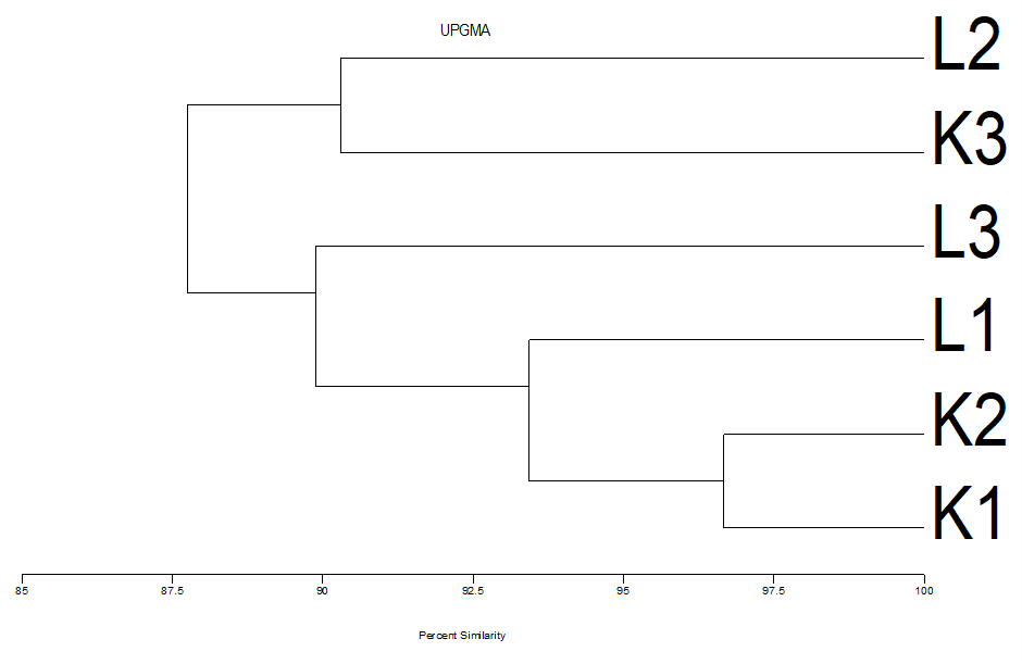Figure 4: