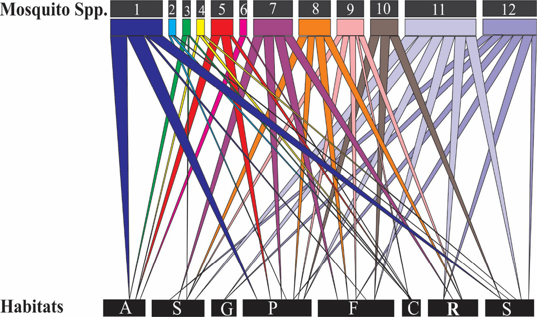 Figure 2: