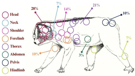 Figure 3: