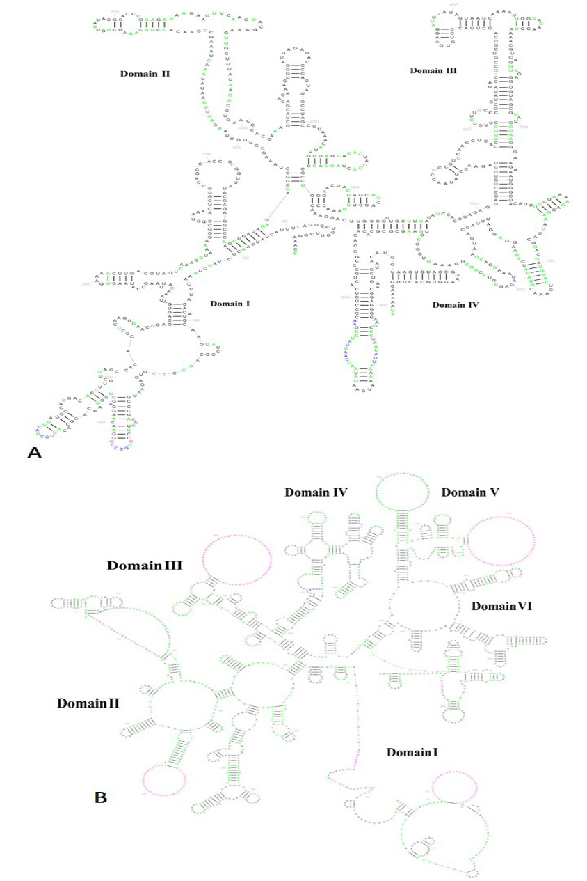 Fig. 5.