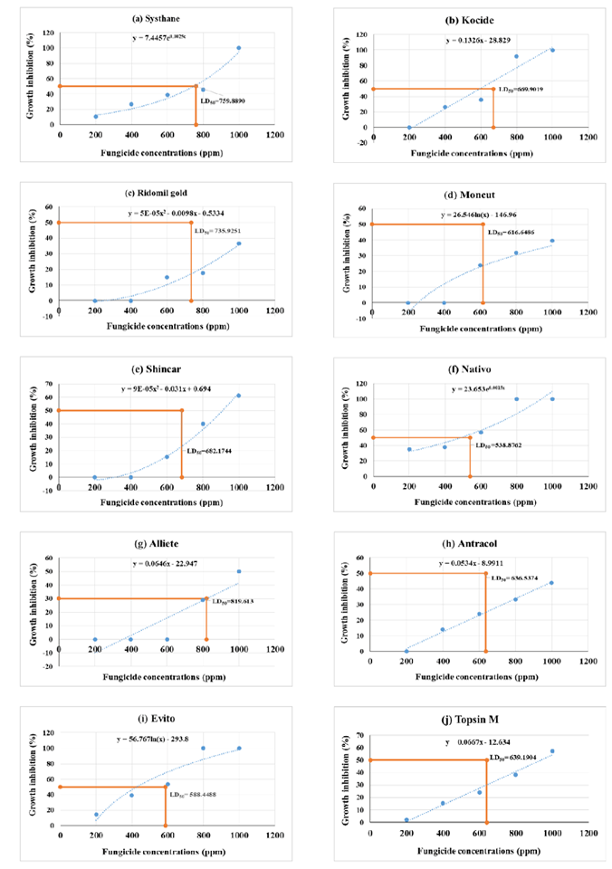 Figure 5: