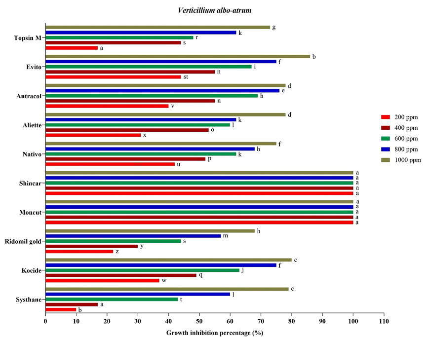 Figure 6: