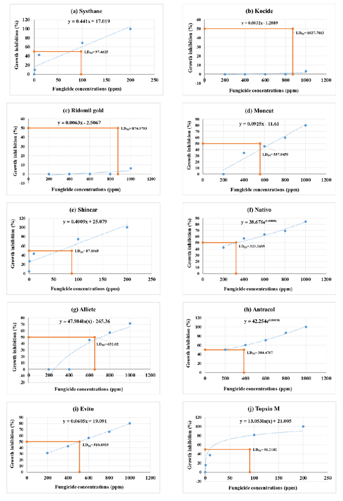 Figure 3: