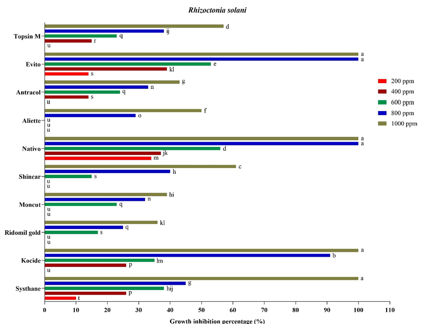 Figure 4: