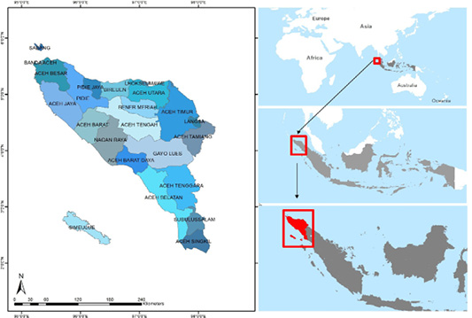 Figure 1: