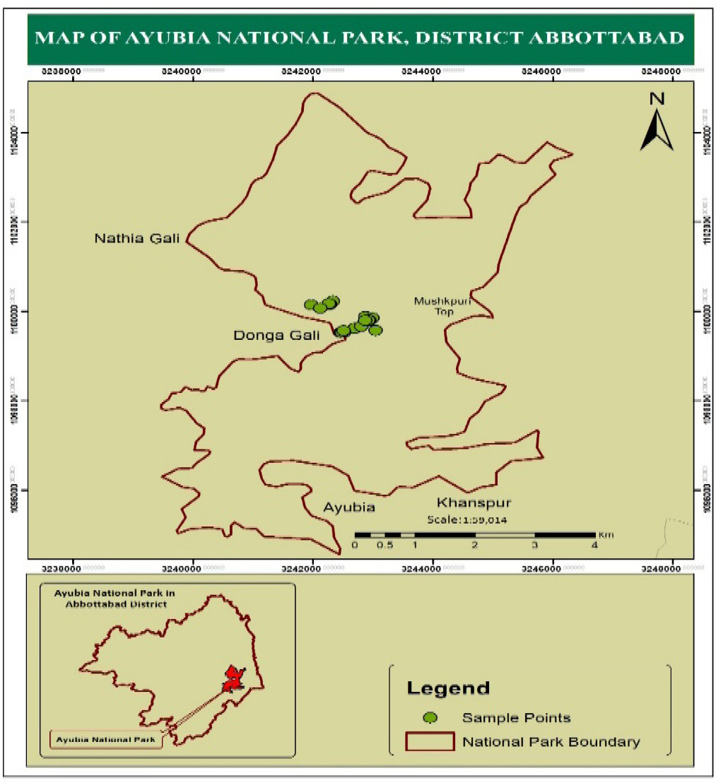 Figure 1:
