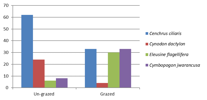 Figure 7: