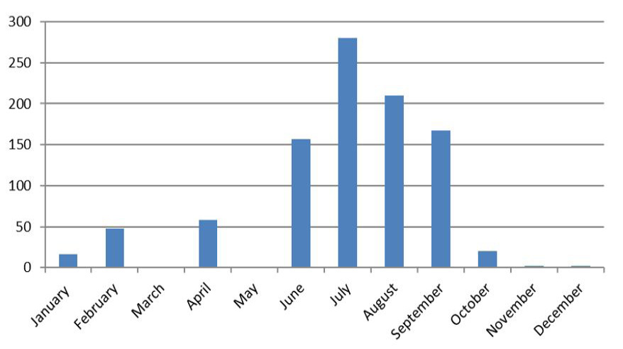 Figure 4: