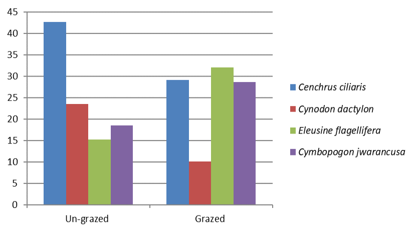 Figure 6: