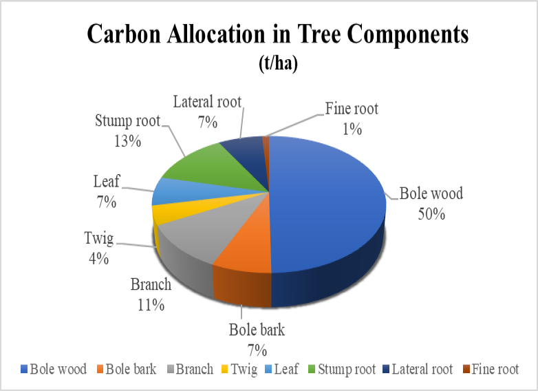 Figure 4: