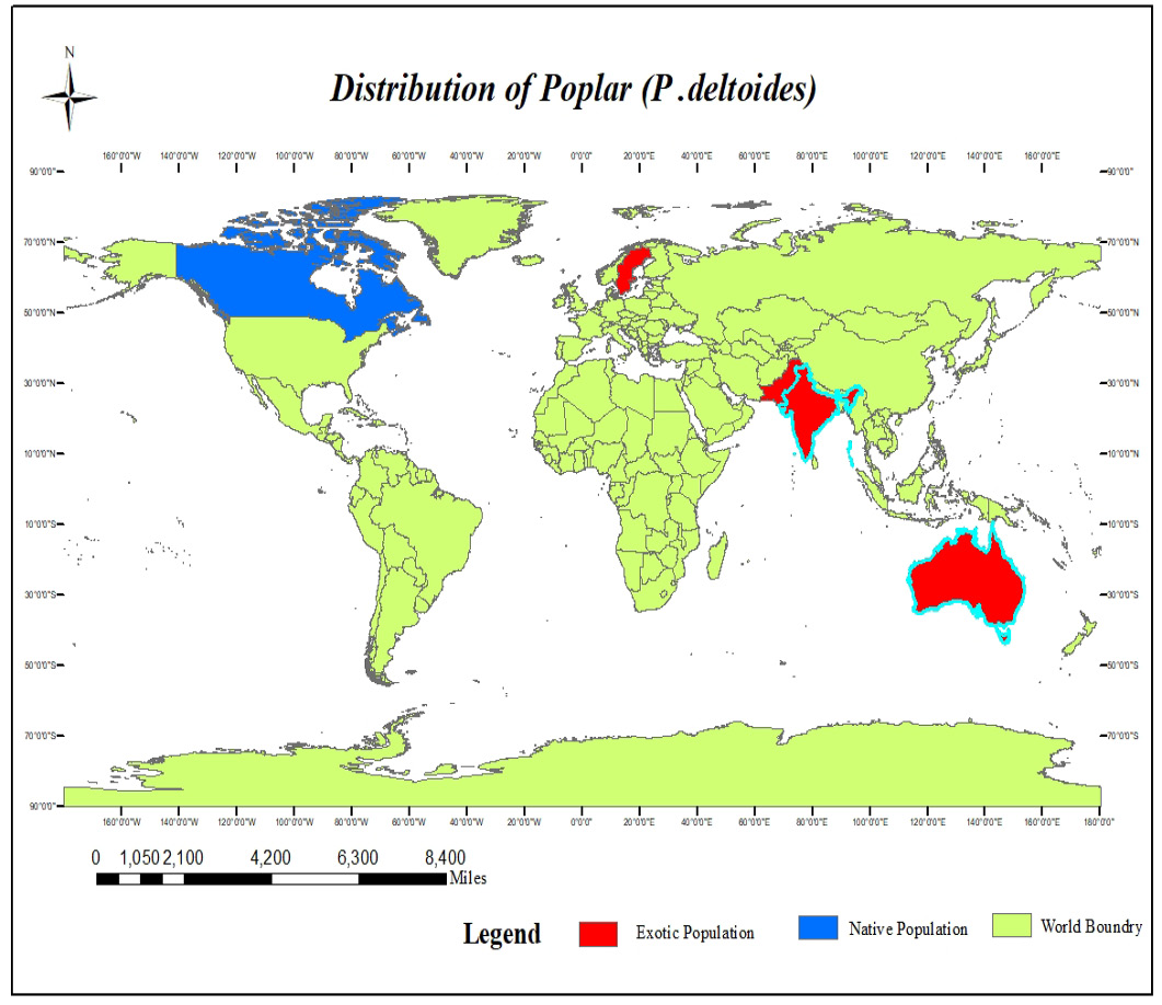 Figure 1: