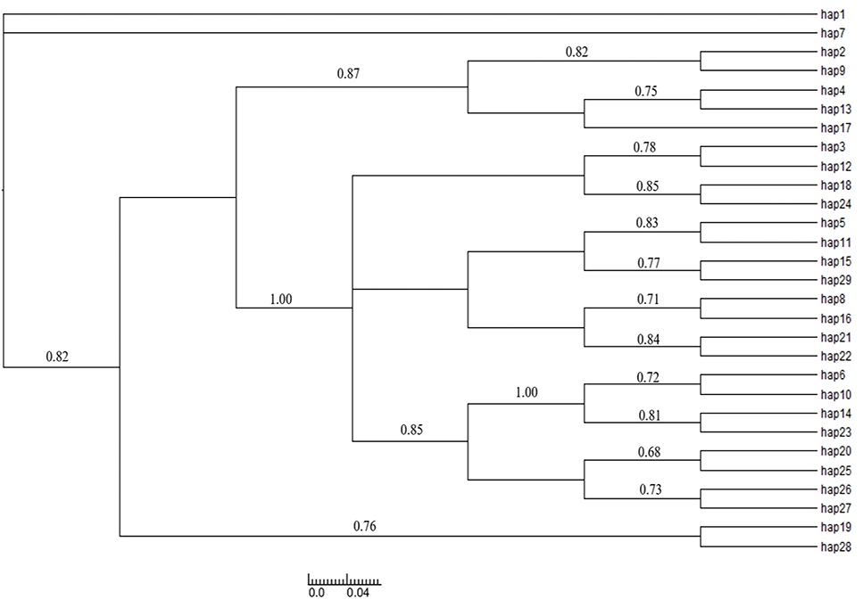 Fig. 4.