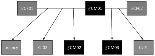Fig. 1.
