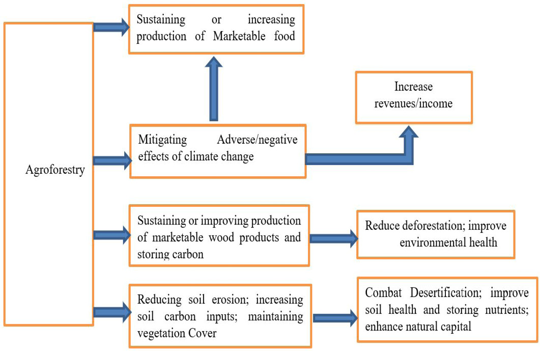 Figure 2: