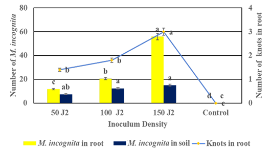 Figure 2: