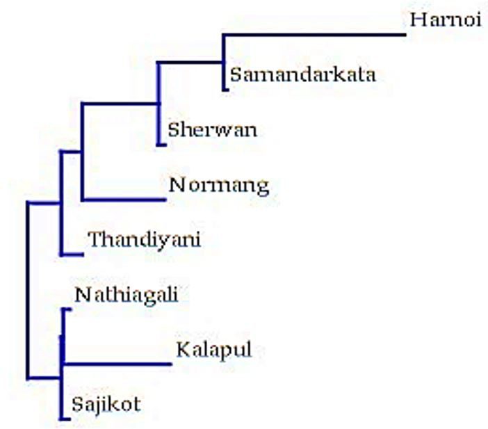 Figure 7: