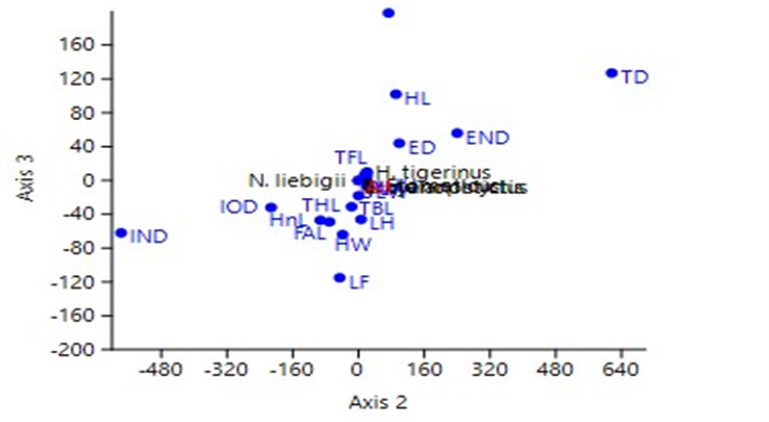 Figure 4: