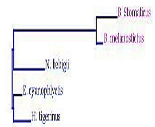 Figure 2: