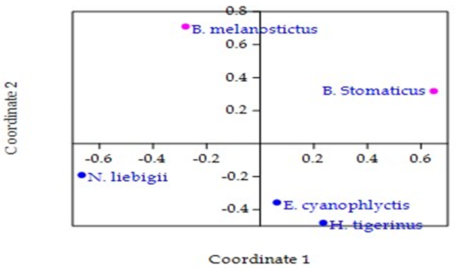 Figure 3: