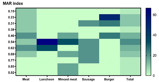 Figure 3: