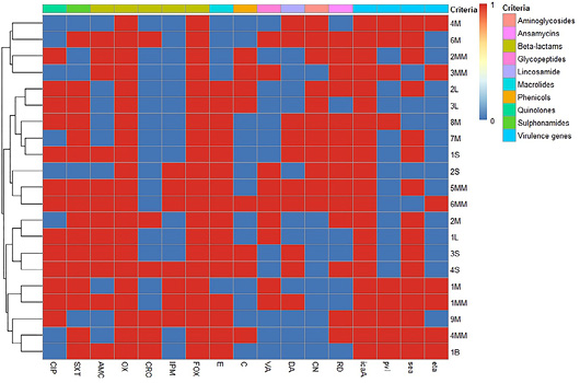 Figure 6: