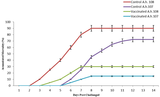 Figure 5: