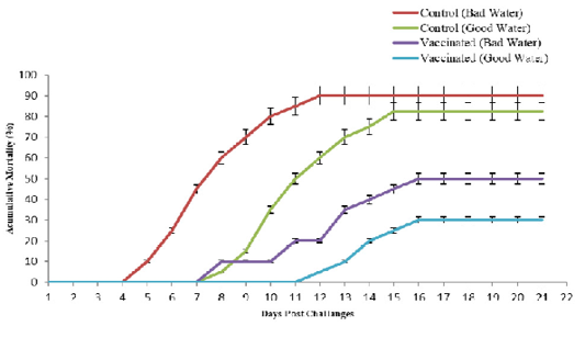 Figure 4: