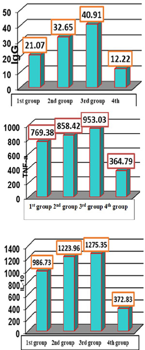 Figure 3: