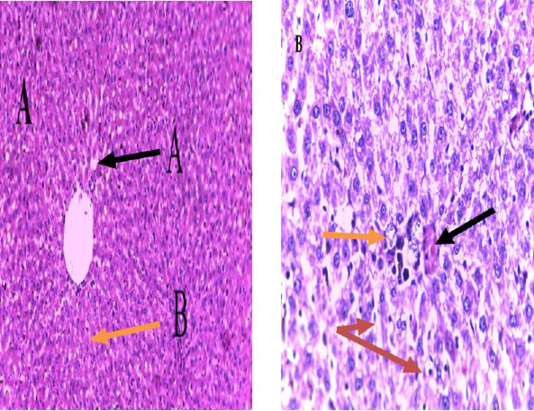 Figure 6: