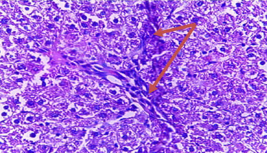 Figure 9:
