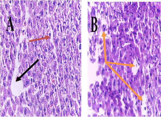 Figure 7: