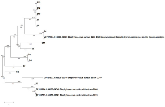 Figure 7: