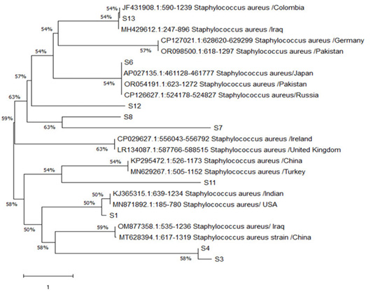 Figure 5: