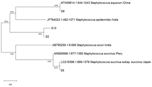 Figure 6: