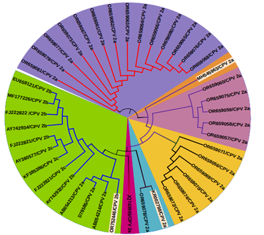 Figure 2: