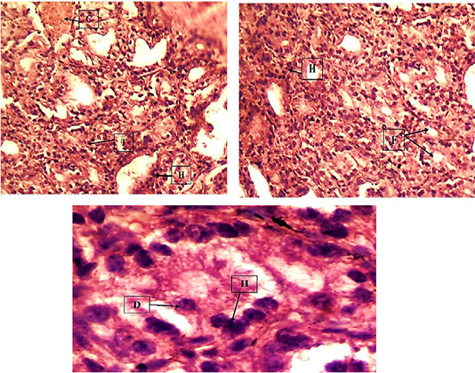 Figure 7: