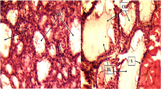 Figure 8: