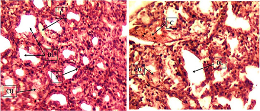 Figure 9: