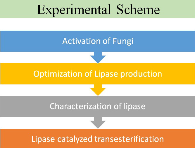 Figure 1: