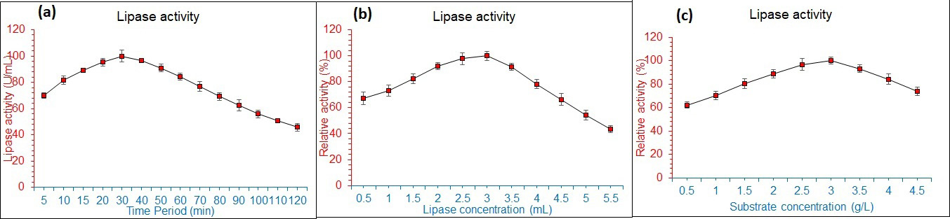 Figure 2: