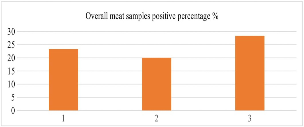 Figure 3: