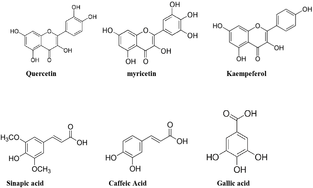 Figure 2: