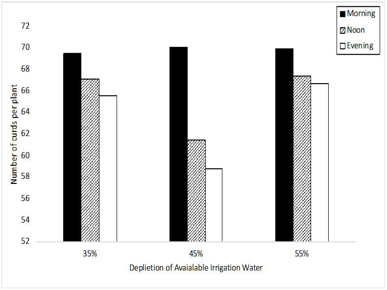 Figure 3: