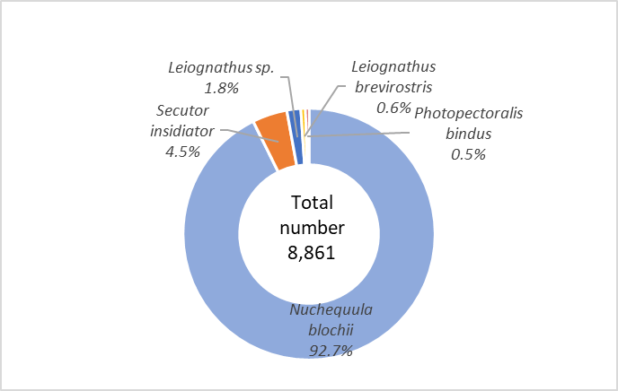 Figure 2: